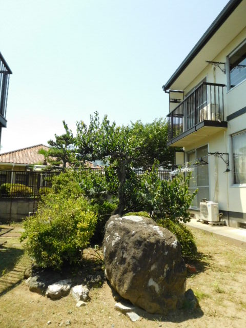 庭