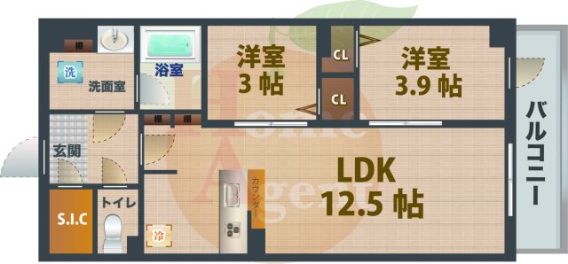 杉並区堀ノ内のマンションの間取り