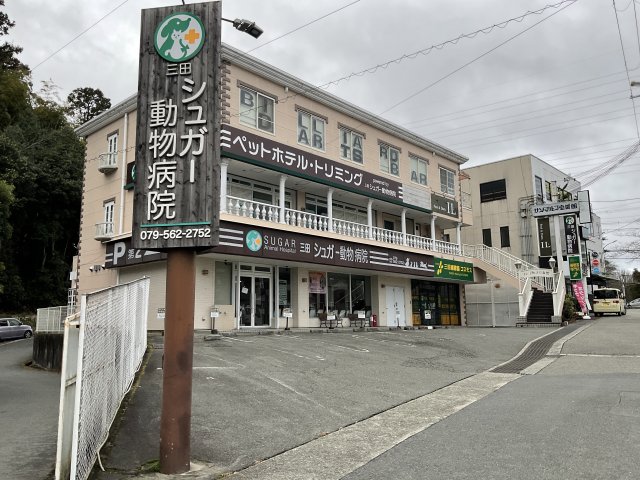 建物外観　外観です