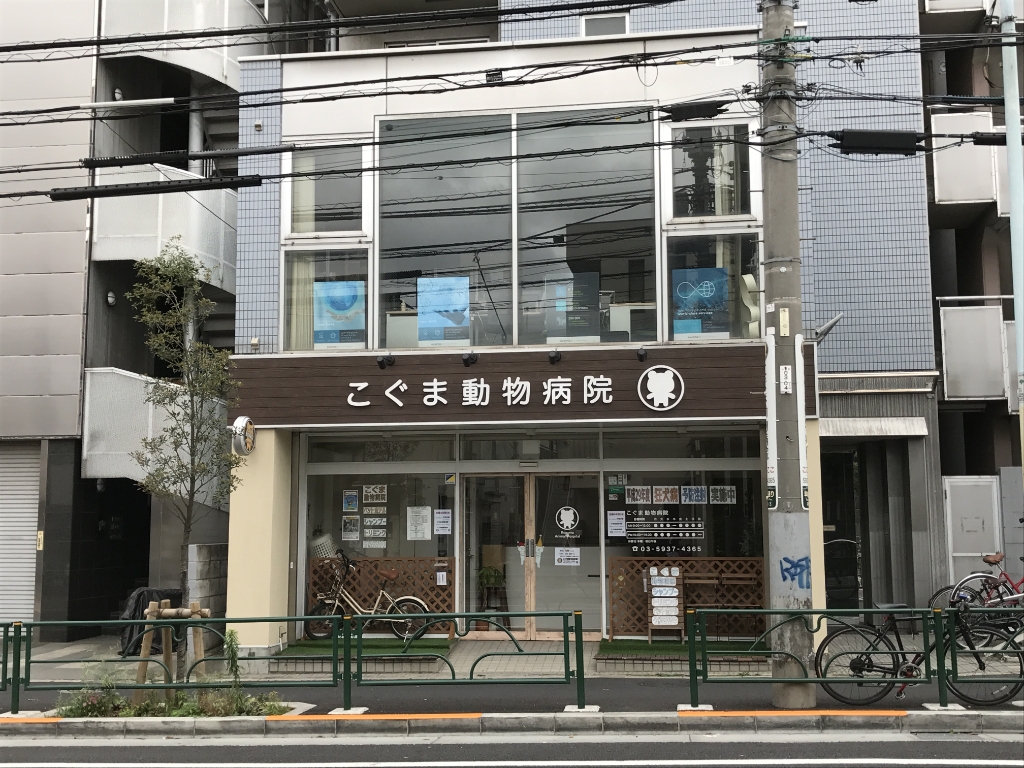 その他　こぐま動物病院（その他）まで432m