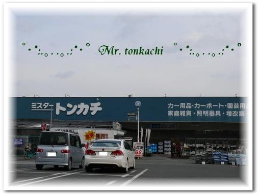 ホームセンター　ミスタートンカチ亀山エコー店（ホームセンター）まで1559m