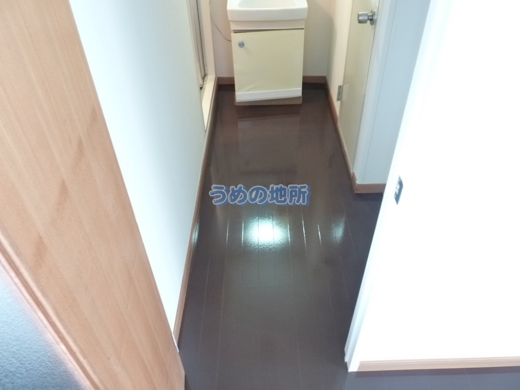 その他　洗面所　スペース