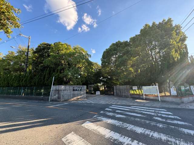 大学・短大　大阪歯科大学医療保険学部（大学・短大）まで644m