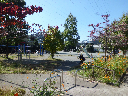 公園　樽町しょうぶ公園（公園）まで157m