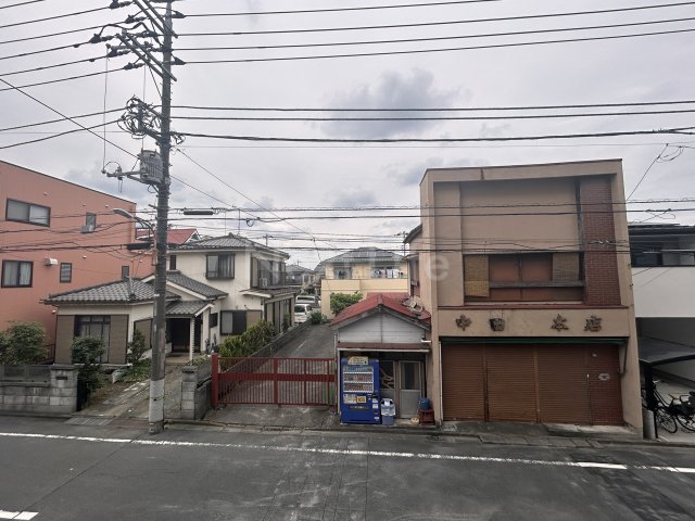 眺望　アリウム