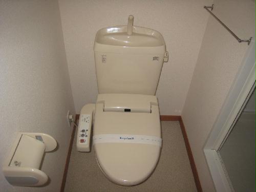 トイレ　温水洗浄便座