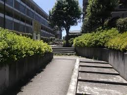 公園　中郷緑地（公園）まで291m