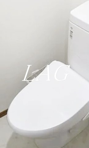トイレ　トイレです。（同仕様です。）