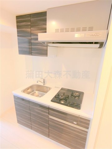 キッチン　2口ガスシステムキッチン