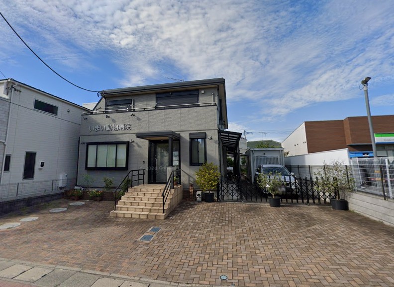 病院　いまい動物病院（病院）まで750m