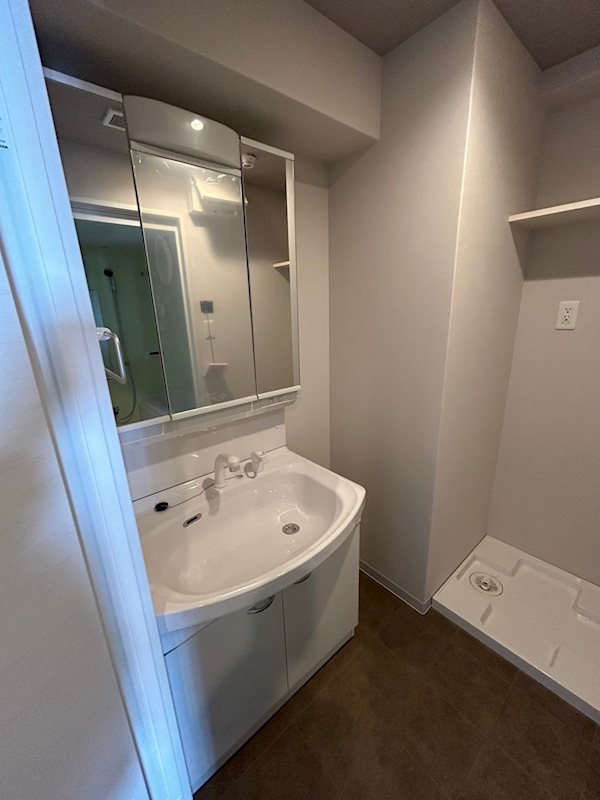 洗面設備　同シリーズ参考写真