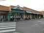 スーパー　マルエツ愛甲石田店（スーパー）まで287m