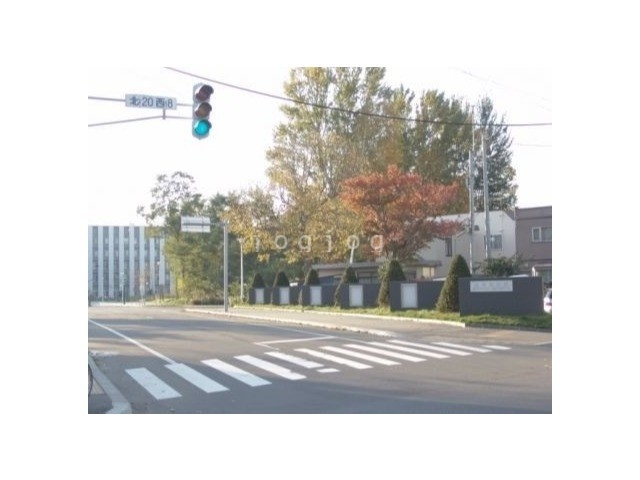 大学・短大　国立北海道大学　北２０条東門（大学・短大）まで1068m