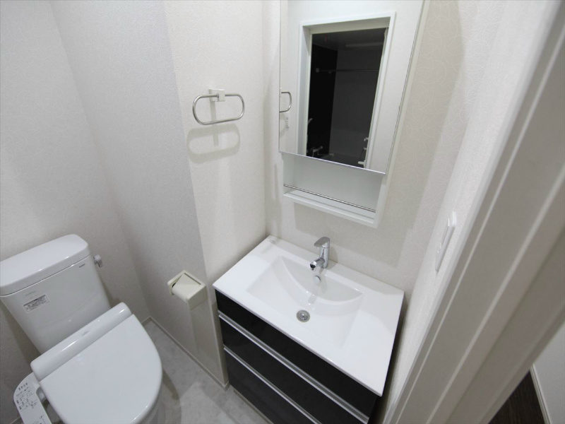 洗面設備　脱衣所　独立洗面台（シャンプードレッサー）