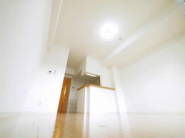 居室・リビング　ゆったりとしたリビングです