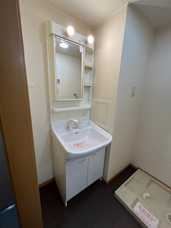 洗面設備　スペースが確保できる洗面所です