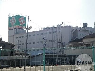 スーパー　ライフ初芝（スーパー）まで1198m