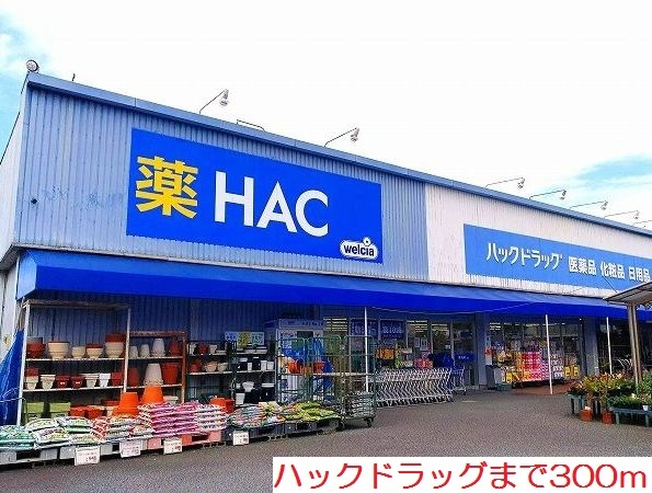 ドラックストア　ハックドラッグ（ドラッグストア）まで300m