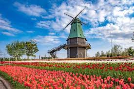 公園　霞ヶ浦総合公園（公園）まで8797m