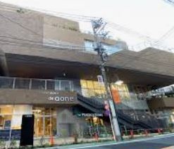 スーパー　PEACOCK STORE(ピーコック ストア) 自由が丘デ（スーパー）まで517m