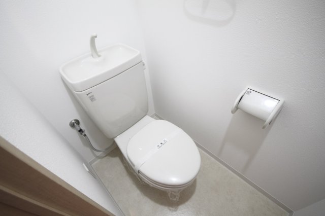 トイレ　トイレも気になるポイント