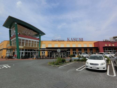 スーパー　（株）カスミ フードスクエア成田赤坂店（スーパー）まで853m