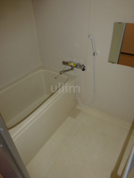 バス・シャワールーム　※同タイプの他のお部屋です