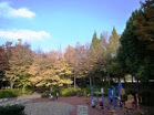 公園　教育の森公園（公園）まで827m