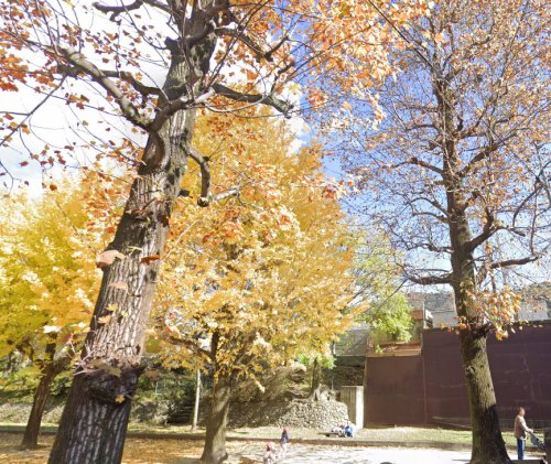 幼稚園・保育園　ひまわり保育園（幼稚園・保育園）まで1769m