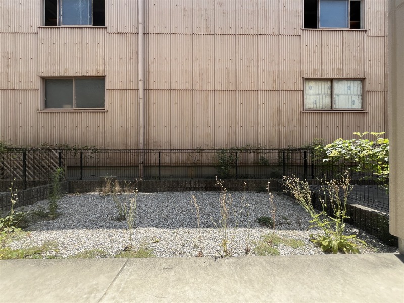 庭