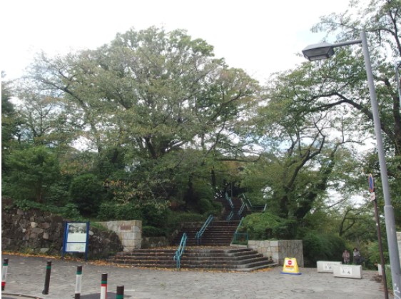 公園　掃部山公園（公園）まで575m