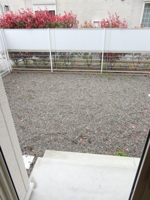 庭