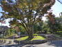 公園　羽根木公園（公園）まで663m