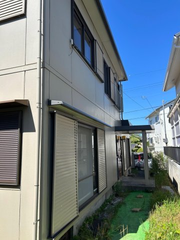 庭　玄関から庭へと続く緑たちです。