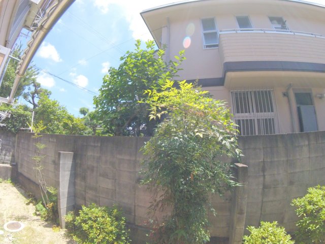 庭