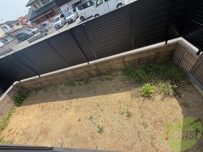 庭
