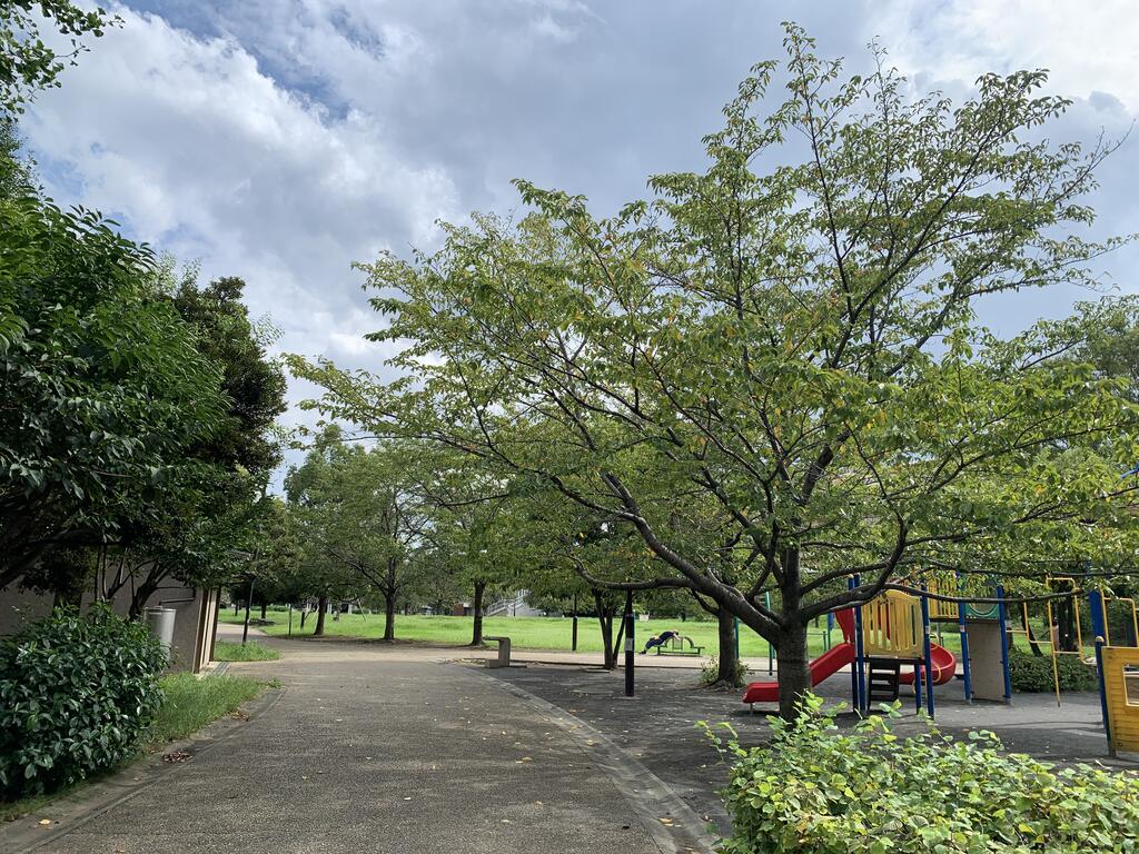 その他　北区みんなの公園です。四季の花を楽しめる公園です。