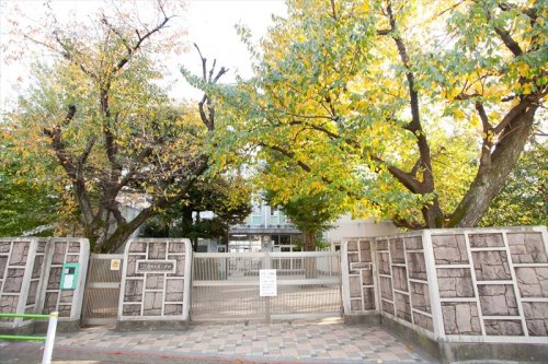 小学校　大田区立調布大塚小学校（小学校）まで526m