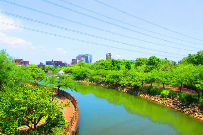 公園　新左近川親水公園（公園）まで450m