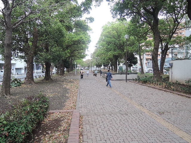 その他　大通り公園（その他）まで696m