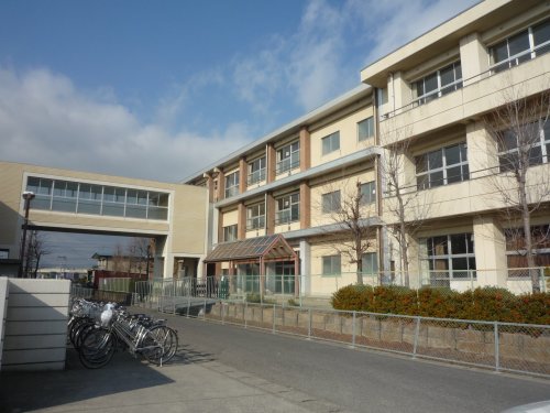 中学校　津島市立藤浪中学校（中学校）まで377m