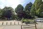 公園　上野公園（公園）まで700m