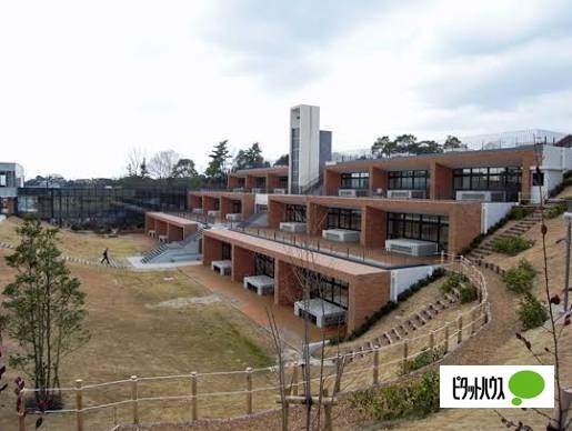 小学校　私立名進研小学校（小学校）まで1444m