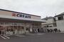 ドラックストア　クリエイトSD川崎高津向ケ丘店（ドラッグストア）まで550m