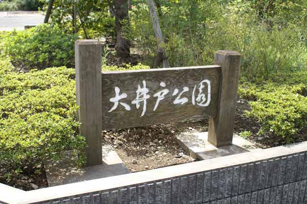公園　大井戸公園（公園）まで346m