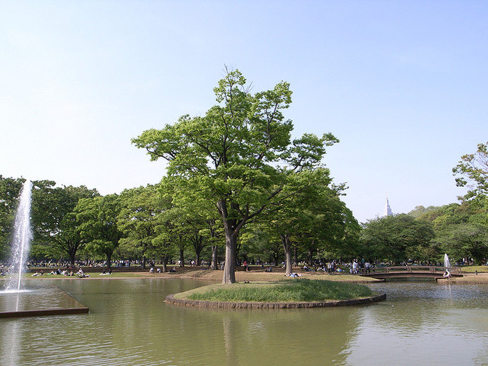 公園　代々木公園（公園）まで586m