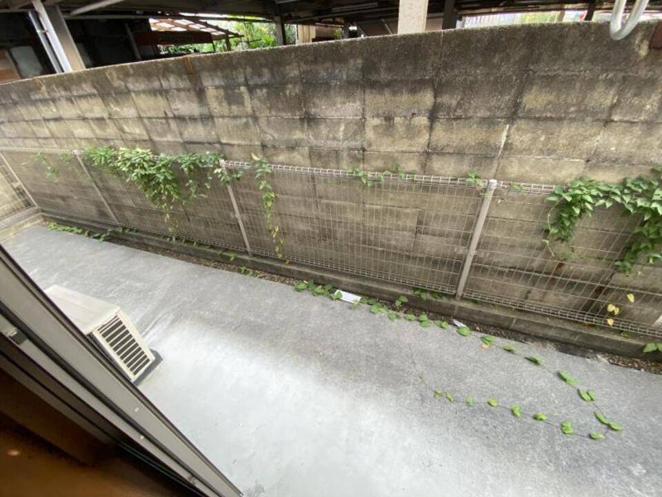 庭　庭