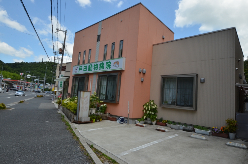 病院　戸田動物病院（病院）まで242m