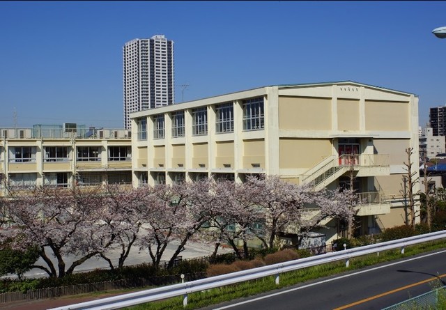 小学校　葛飾区立金町小学校（小学校）まで685m