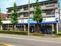 ドラックストア　ウエルシア板橋四葉店（ドラッグストア）まで499m